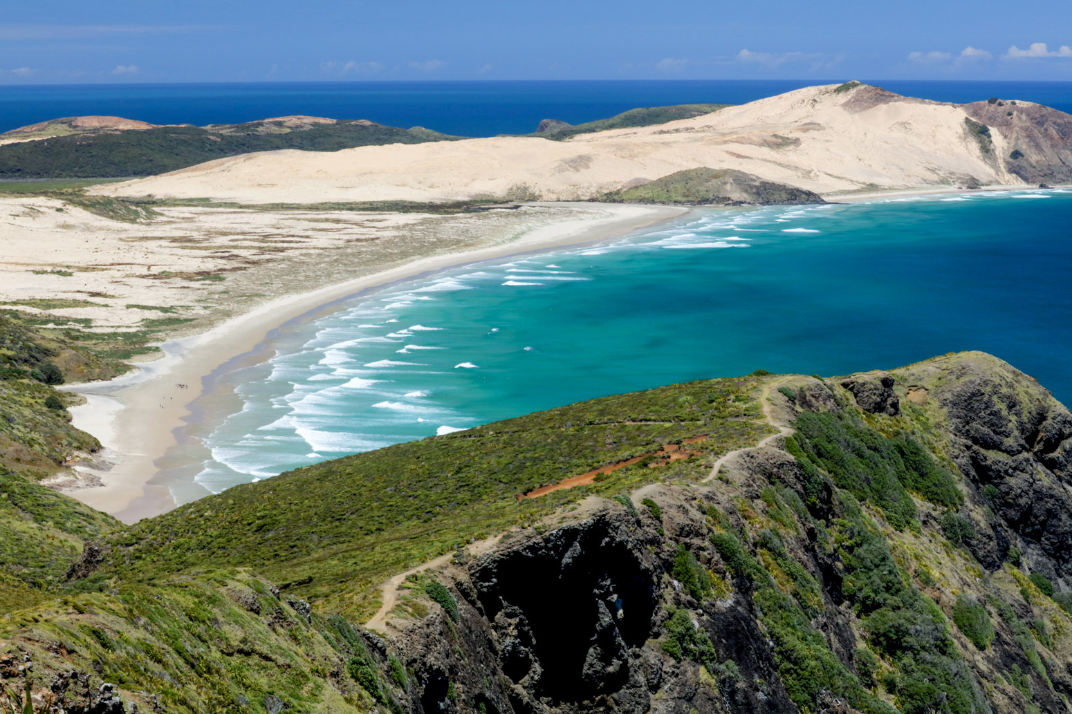 Twin-coast-discovery-8-day-tour-of-Northland-67 | Must Do New Zealand