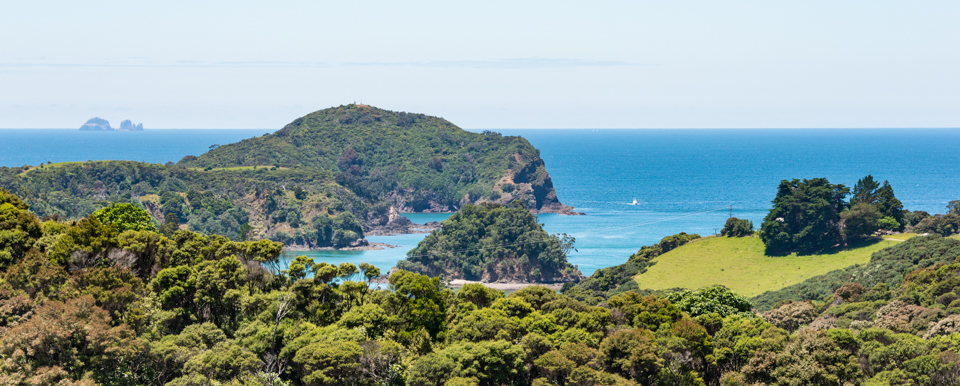 Tutukaka Coastline