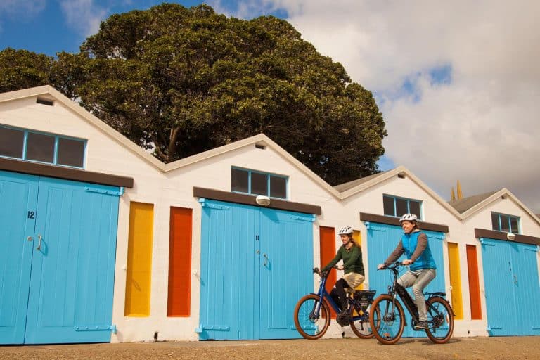 Wellington-electric-bike-hire-guided-wellington-tours-17 | Must Do New Zealand