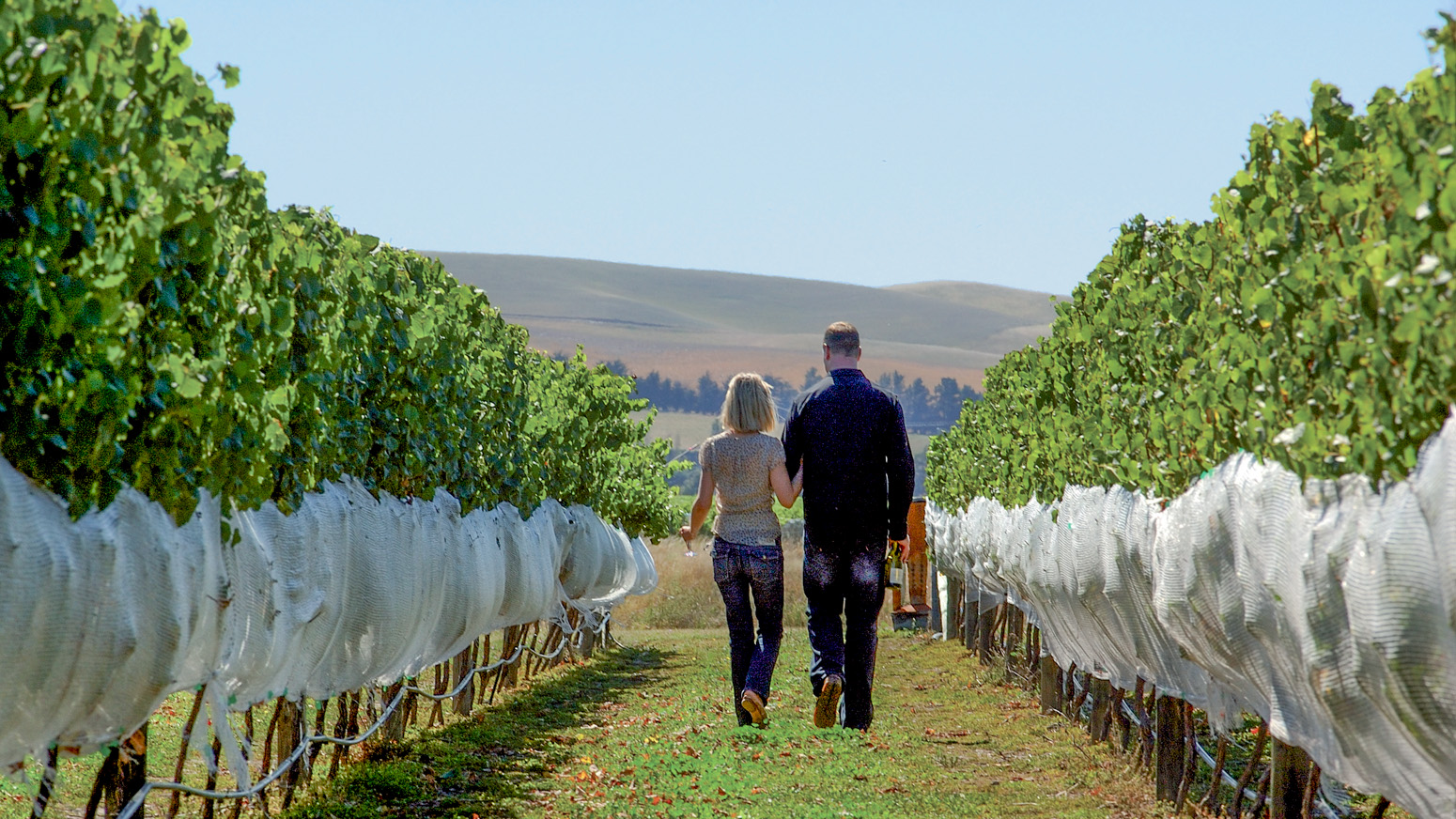 winery tours from christchurch