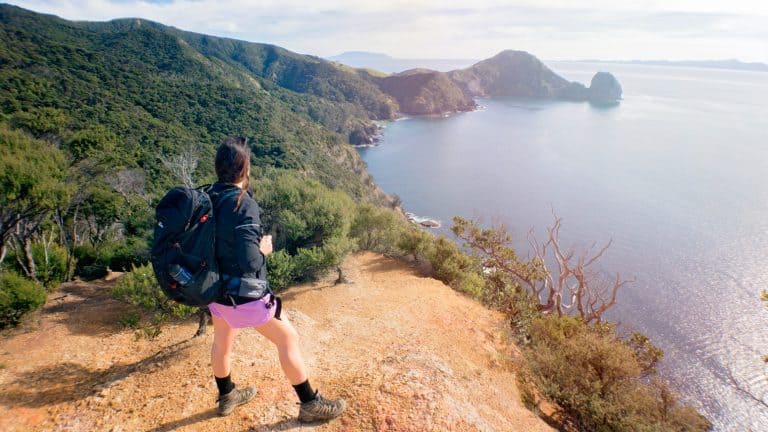 Nature-and-nosh-guided-walks-wine-food-tours-15 | Must Do New Zealand