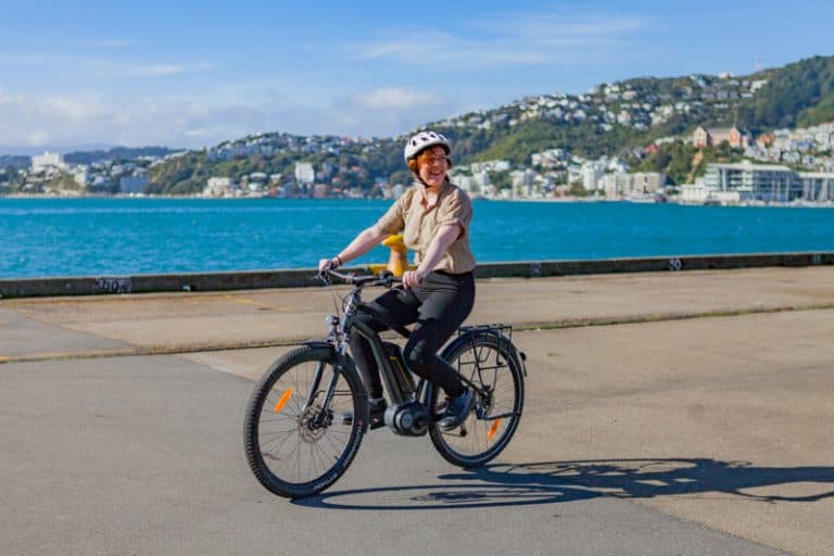 Wellingtonelectricbikehireguidedwellingtontours3 Must Do New