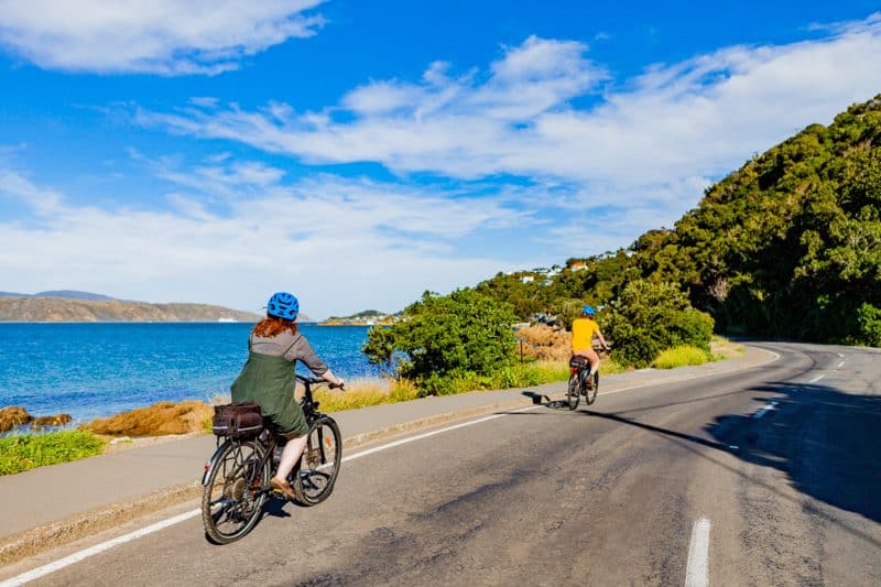 Wellingtonelectricbikehireguidedwellingtontours5 Must Do New