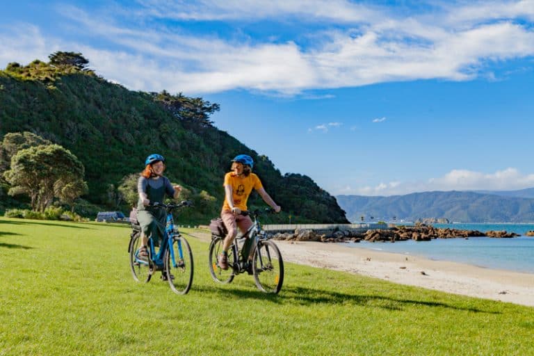 Wellingtonelectricbikehireguidedwellingtontours6 Must Do New