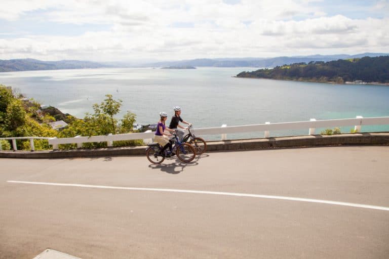 Wellingtonelectricbikehireguidedwellingtontours7 Must Do New