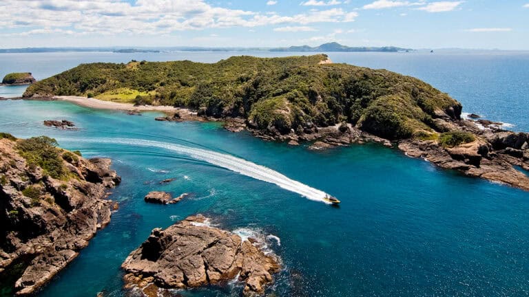 Fullers-Hole-in-the-rock-17 | Must Do New Zealand