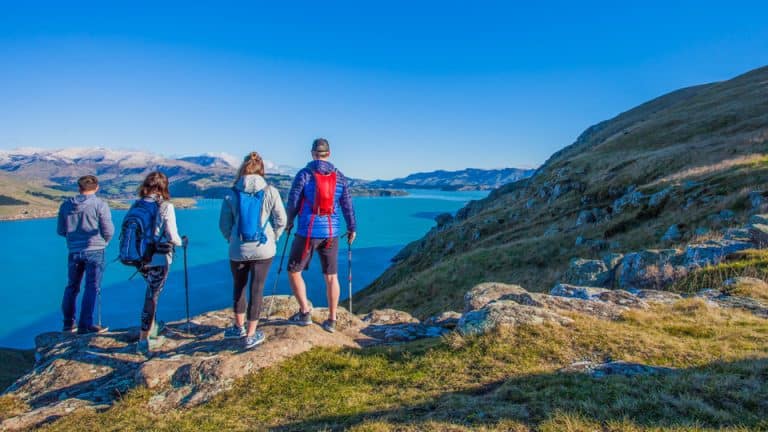Crater Rim Guided Day Walks on Banks Peninsula