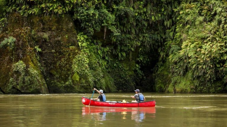 Whanganui-River-Canoe-guided-Trips-day-and-multi-day-15 | Must Do New Zealand