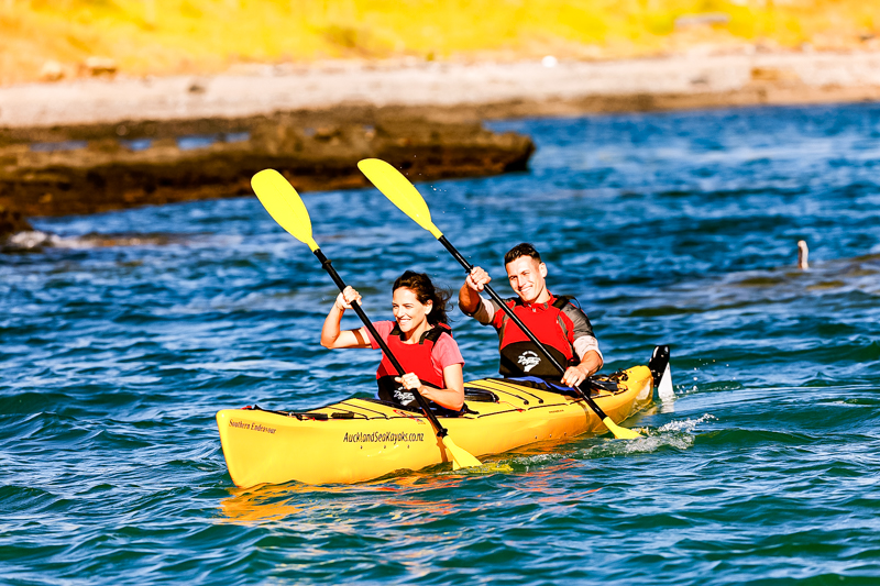 Auckland Sea Kayak Tours on Auckland's harbour to Rangitoto