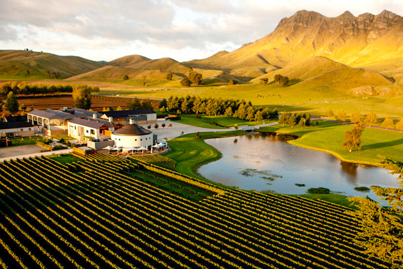 new zealand wine country tours