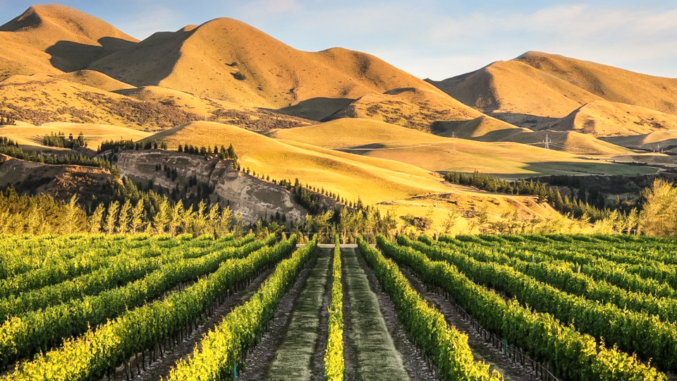 winery tours from christchurch