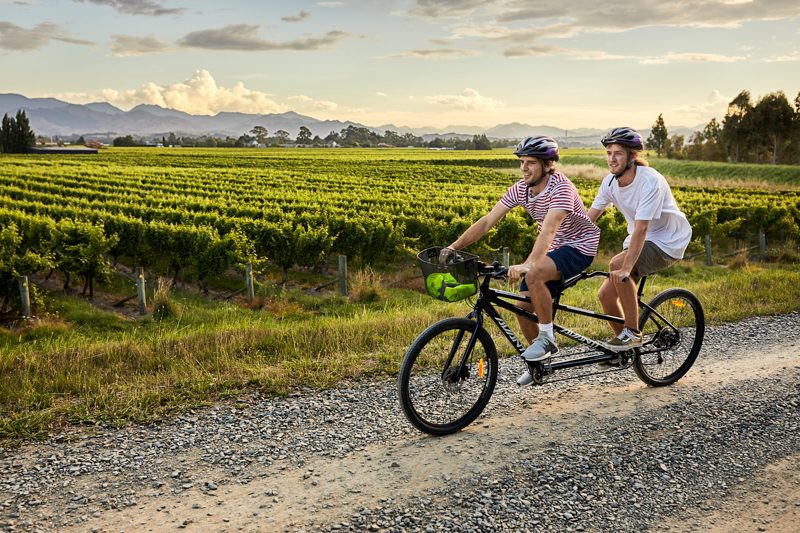 new zealand wine bike tours