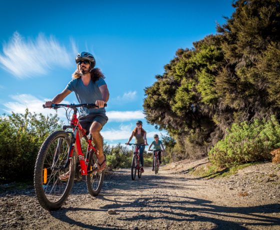 Wanaka Bike Tours - Guided Electric Bike Tours & Heli Bike