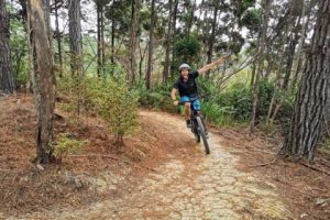Male Tourist on the Mountain Bike Trail at Waitangi Mountain Bike Park