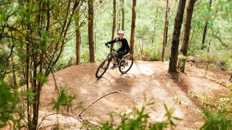 Paihia-mountain-bike-hire Waitangi-33a | Must Do New Zealand
