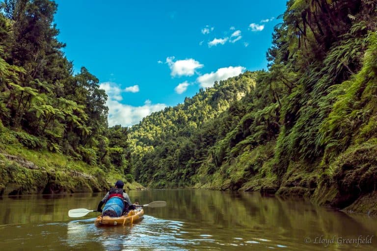 guided-freedom-canoe-experience-whanganui-river-multi-day-feature-1 | Must Do New Zealand