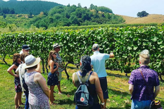 wine tours from nelson nz