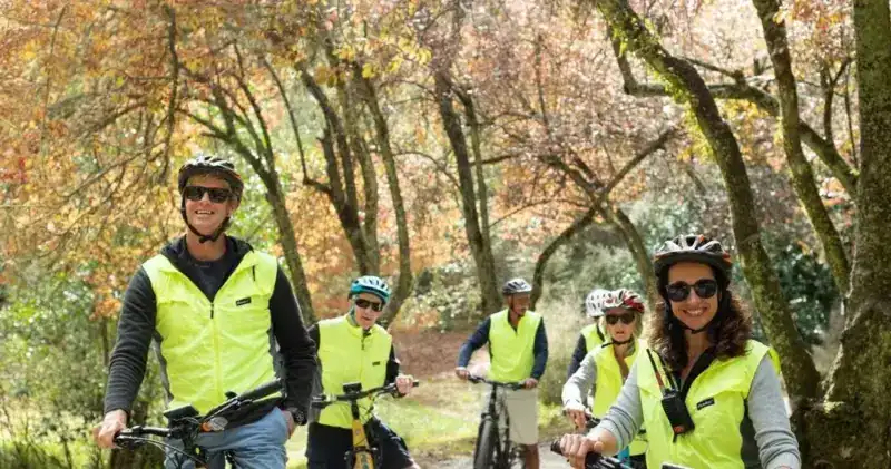 Group of cyclists wearing bright yellow safety vests ride along a tree-lined path in autumn.