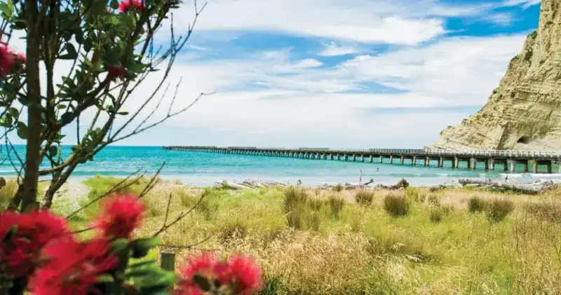 Sunlit coastal scene with turquoise water, a wooden pier reaching toward the horizon, and red flowers in the foreground.