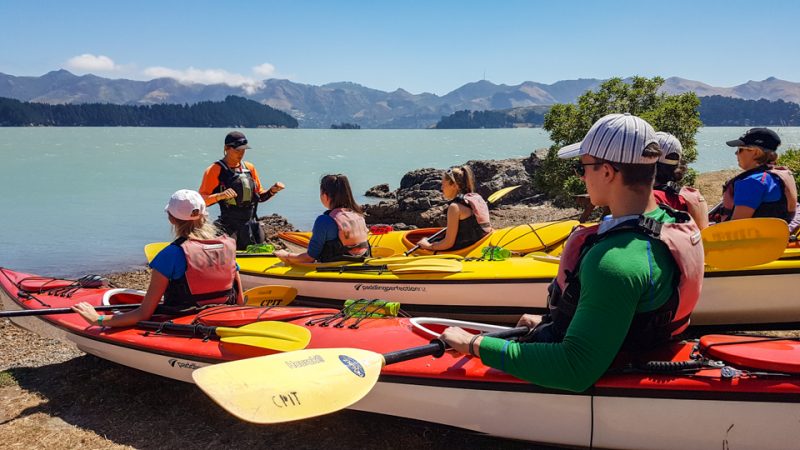 day tours christchurch