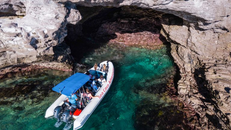 boat-tours-whitianga-coromandel-sea-cave-adventures-feature-2 | Must Do ...