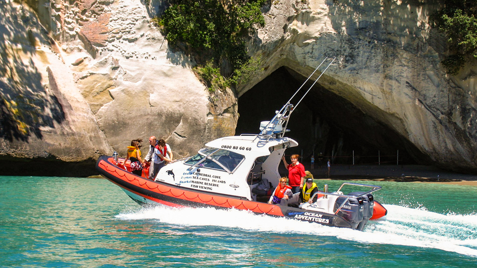 ocean leopard tours cathedral cove boat tour whitianga