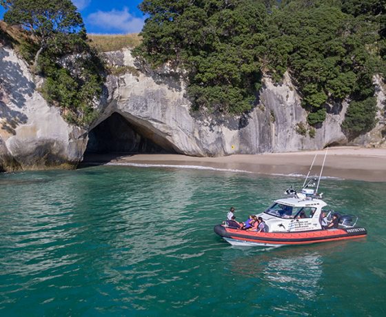 cathedral cove tours from whitianga