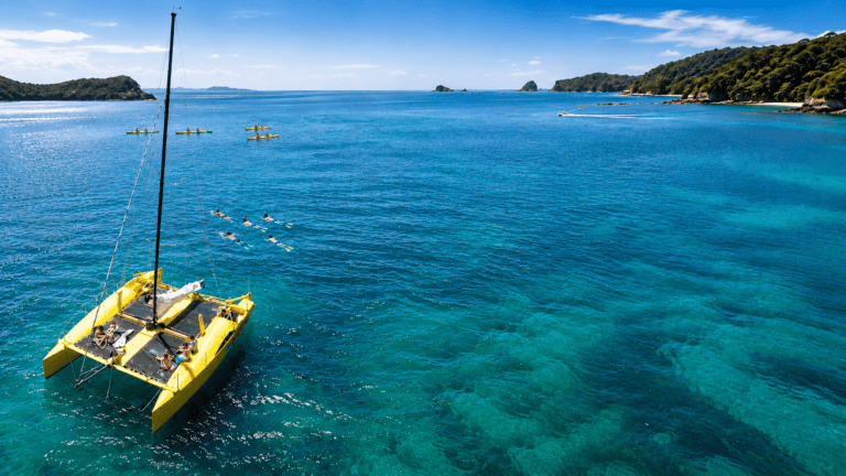 sailing-charters-33b | Must Do New Zealand | Must Do New Zealand Yellow catamaran with people sunbathing on deck anchored in clear turquoise waters near a rocky coastline.