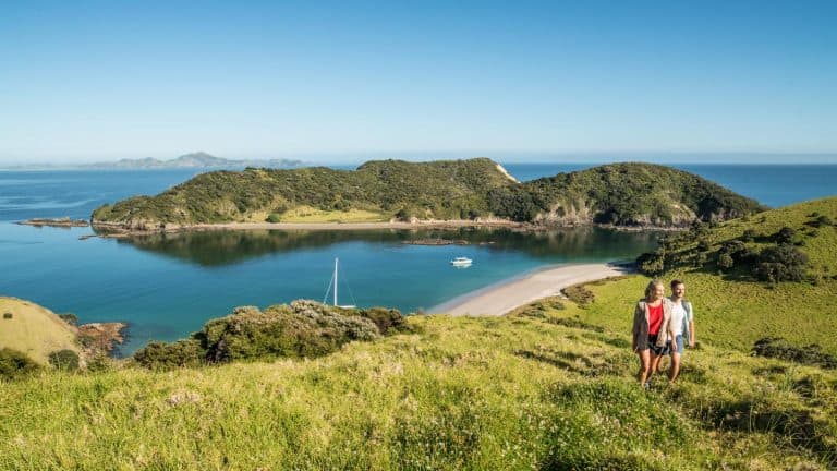 Bay-of-islands-holiday-discount-tours-1 | Must Do New Zealand