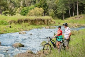  Cyclists riding past farmland – Northland – Scenic cycling along Twin Coast Cycle Trail