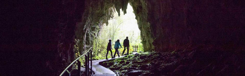 Waitomo Cave Glowworm tours with Spellbound