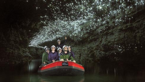 spellbound cave tours waitomo