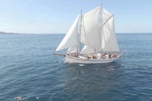 Windborne under full sail along the Coromandel coast, Mercury Bay