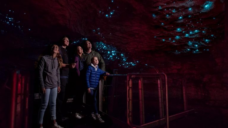 Glow-Worm-Caves-Te-Anau-15 | Must Do New Zealand Te Anau Glowworm Caves alllit up with glowworms