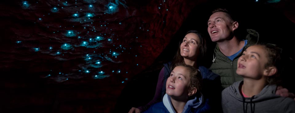 Te Anau Glow worm Caves