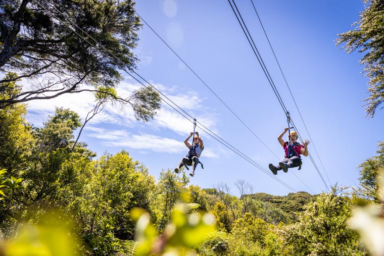 EcoZip Adventures - Ziplining on Waiheke Island