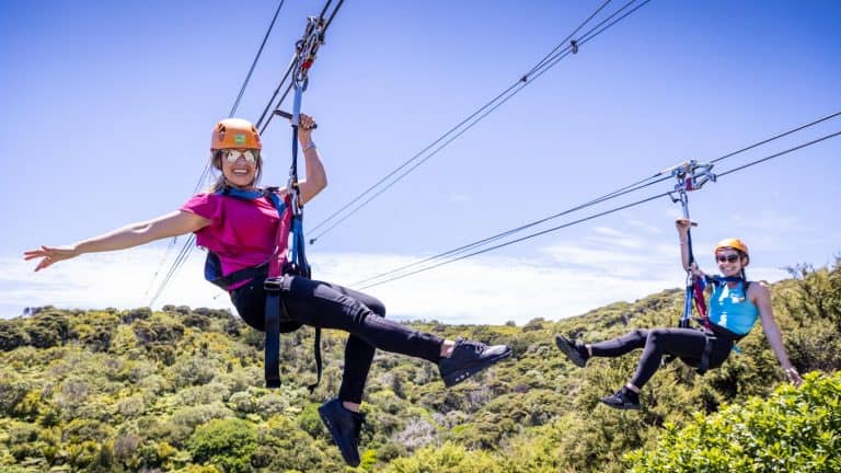 EcoZip waiheke Island-20 | Must Do New Zealand
