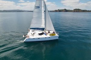 Sailing through the bay of islands - dat charter from Paihia