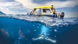 Guest snorkelling while the glass bottom boat drifts above reef fish at Cathedral Cove