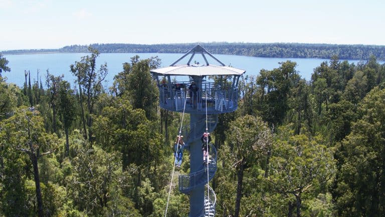 c004 | Must Do New Zealand