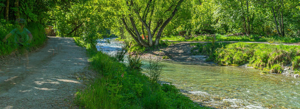 Arrow River Trail - Arrowtown