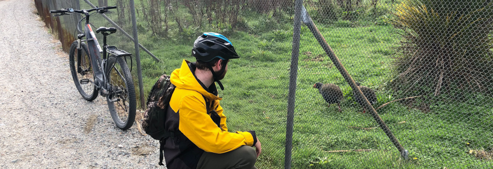 youn man on biek looking at birdlife at Te Anau Bird Sanctuary (Punanga Manu o Te Anau)