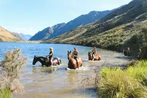 Horse Treks on Moke Lake near queenstown
