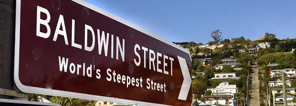 Baldwin Street Dunedin– The Steepest Street in the World