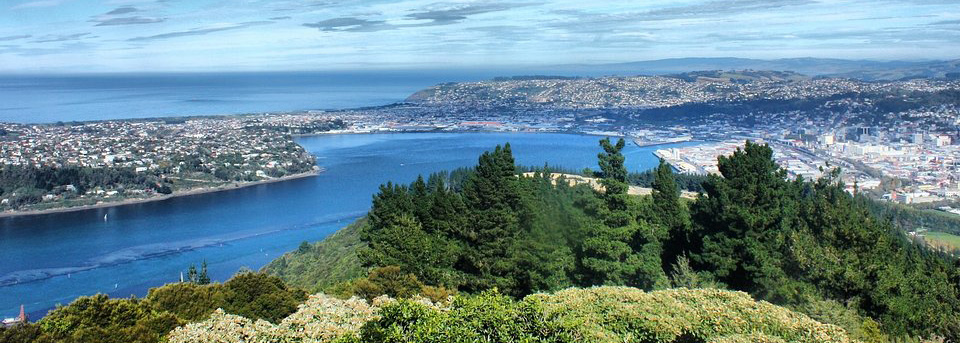 View from signal Look Out Dunedin