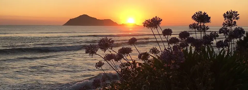Waim?rama Beach at sunrise