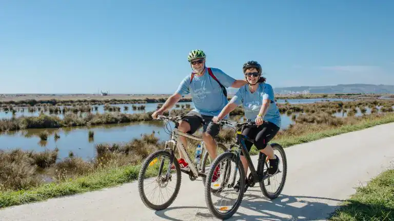 napier-bike-hire-and-tours-19 | Must Do New Zealand