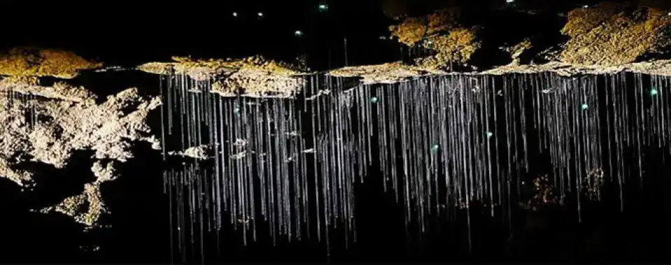 Glowworm-caves-waitomo-22 | Must Do New Zealand A stunning view inside the Waitomo Glowworm Caves, showcasing bioluminescent glowworms lighting up the cave ceiling.