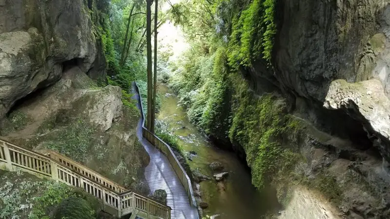 mangapohue-natural-brige-waitomo-18 | Must Do New Zealand
