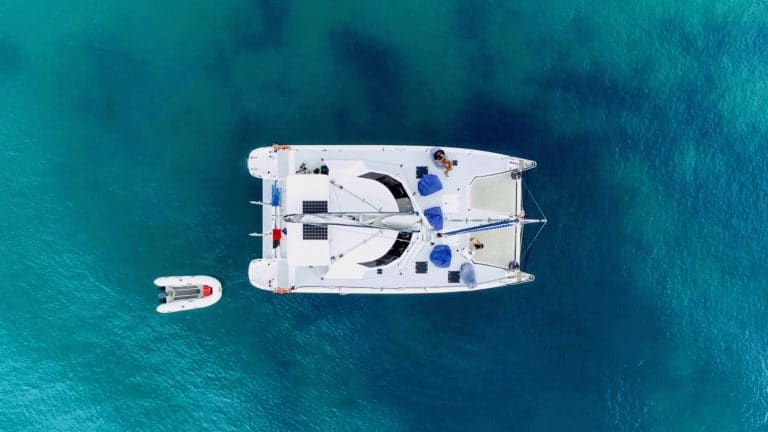 Bayscape-Charters- Bay-of-islands-15 | Must Do New Zealand